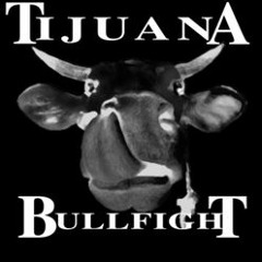 Tijuana Bullfight