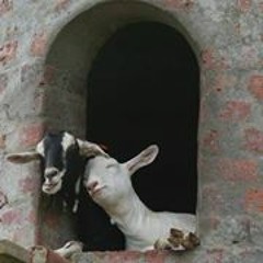 Eman Taha 12