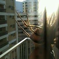 Mariana Mota de Freitas