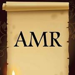Amr Mido 3
