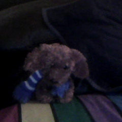 KaJuan Bchilln Hayden