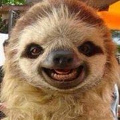 Aurora Sheila McMahon