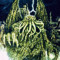 noia_gr8_old_one