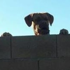 Jacob Christian Conn