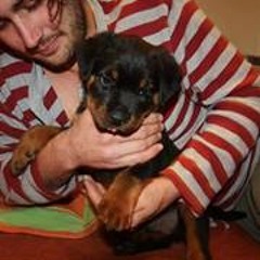 Matt Bill Heinz Helmer