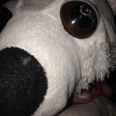 Michael Williams 402