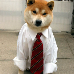 SuchDoge