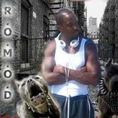 Romod Brickhouse
