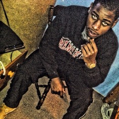 blizz 215