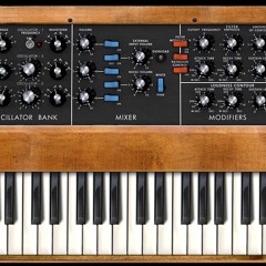 Juan De Petite Camargue