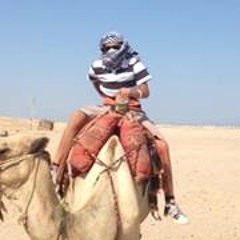 user845655006
