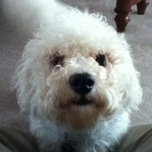 Omega Zero Theme (Cannonball-Hard Revenge) I Am The Messiah mix