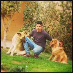 yousseffarouk77