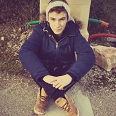 Alexandre Artu