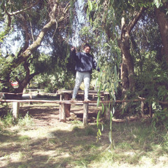 Ignacia Villarroel 1