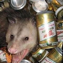 Bocephus McMickerson