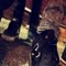ryan_kilgarriff