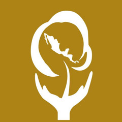 Alianza Mesoamericana