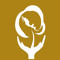 Alianza Mesoamericana