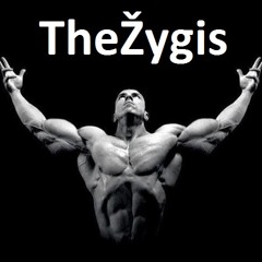 The žygis