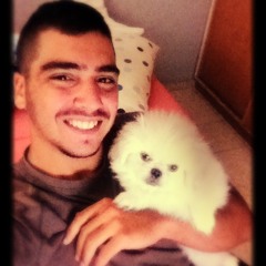 Eli Shamay