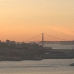 Michael Williams 446