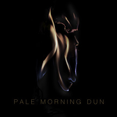 Pale Morning Dun