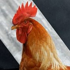 Flaminio Palencia Escobar