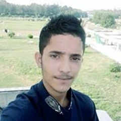 Rizoo