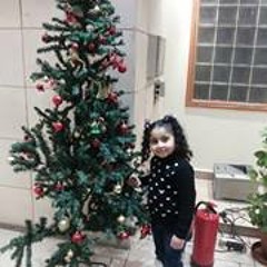 Wessam Ahmed Foaad