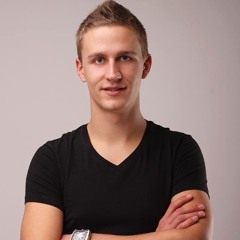 holloandris