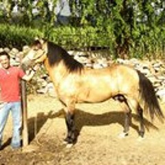 Juan Fernando Hidalgo