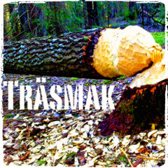Träsmak