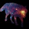 Galaxy Wolf