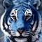 Bleu_Tiger_