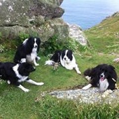 Eugène Bartholomeus