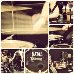 Ignominy / hjärnkultur