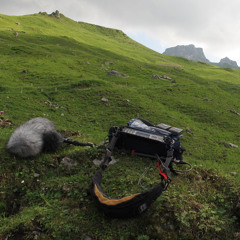 Bobby McFerrin & Mumu Fresh