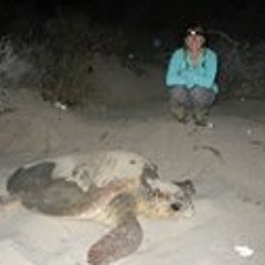 Emily Elizabeth Ward