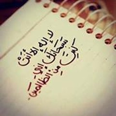 user521049069