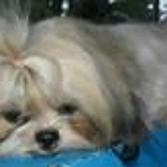 Zhikret N. Unrevealed