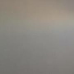 Richard Allen S. Gonzales