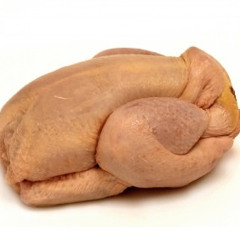 poulet-en-slip