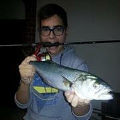 Fabio Brugnoni 1