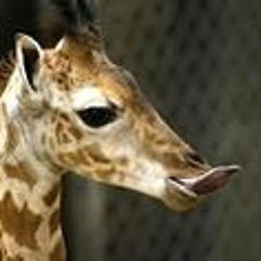 Zandra Silke Muurmann