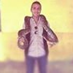 Mohamed Abouelwafa 1