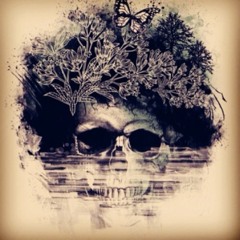 Siavash opeth
