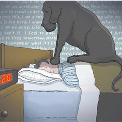 Sergio Maldonado Bernal