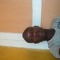 Mudebele