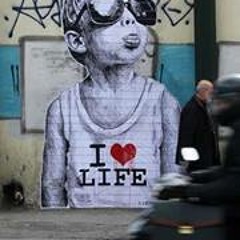 Seyyed Naquib Al-faruqi